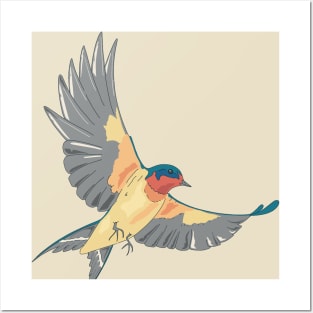 The Barn Swallow Posters and Art